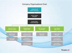 Image result for A 24 Organization Chart