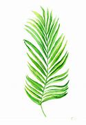 Image result for Palm Tree Leaf Print