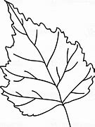 Image result for Birch Leaf Silhouette