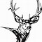 Image result for Mule Deer Skull Clip Art