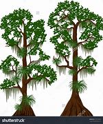 Image result for Cypress Tree Clip Art