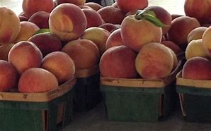 Image result for Flat Peach Basket