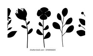 Image result for Six Leaf Plant Silhouette