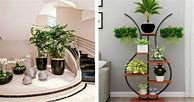 Image result for Leafy Indoor Plants