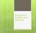 Image result for Dehydration Synthesis Equation