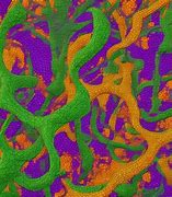 Image result for Ai Generated Art Background