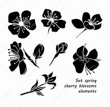 Image result for Cherry Blossom Tree Line Art