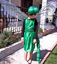 Image result for Dragonfly Costume