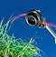 Image result for String Trimmer Line