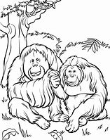 Image result for Zoo Animal Coloring Sheets