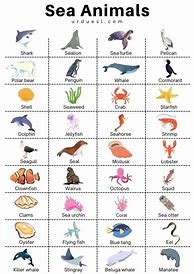 Image result for Sea Animals Names List