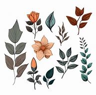 Image result for Watercolor Leaf Vector Art