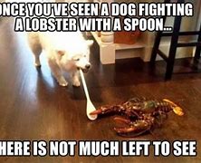 Image result for Funny Lobster