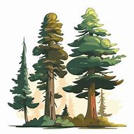 Image result for Cotton Pine Tree Vector