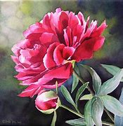 Image result for Peony Watercolor Painting