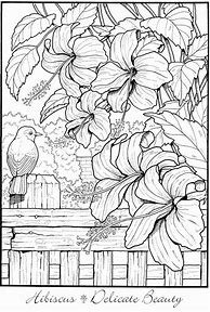 Image result for Creative Coloring Books for Adults