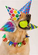 Image result for Funny Birthday Party