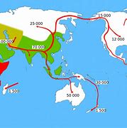 Image result for Homo Sapiens Ancestry