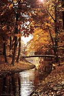 Image result for Summer/Fall Photography