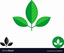 Image result for 3 Leaf Logo