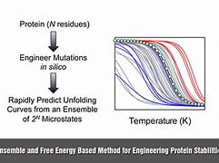 Image result for Protein Biophysics