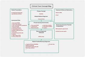 Image result for Nursing Student Concept Map