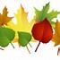 Image result for Fall Leaves Vector Free