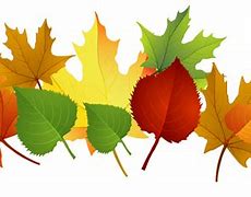 Image result for Free Fall Autumn Leaves Clip Art