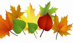 Image result for Fall Leaf Sketch