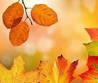 Image result for Fall Foliage Trips in PA