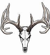 Image result for Mule Deer Skull Clip Art Black and White