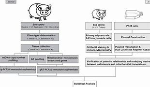 Image result for Biology Reagent Kit Cartoon