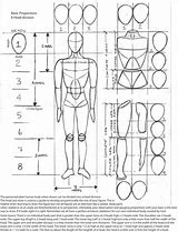 Image result for 8 Head Body Proportions