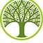 Image result for Tree Logog PNG