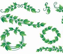 Image result for Vine Leaves Drawing