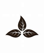 Image result for Logo of Tobacco Leaf