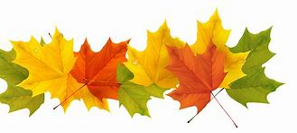 Image result for Free Fall Leaf Border