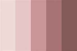 Image result for Dusty Pink vs Dusty Rose