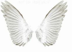 Image result for Angel Wings Clip Art No Background