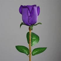 Image result for Artificial Long Stem Roses