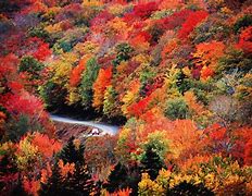 Image result for Picturesque Fall Foliage in New Hampshire