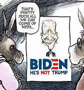 Image result for Funny Political Cartoons