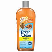 Image result for Fresh N Clean Shampoo and Conditioner