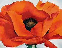 Image result for georgia o keeffe poppy painting museum