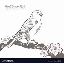 Image result for Bird On Branch Drawing