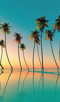 Image result for 4K Vector Art Palm Trees Wallpaper 4K