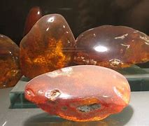 Image result for Amber Shops in Vilnius