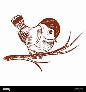 Image result for Perched Bird Drawing