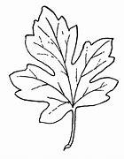 Image result for Fall Leaves Black and White