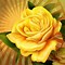 Image result for Yellow Roses iPhone Wallpaper